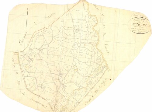 3 P 3076