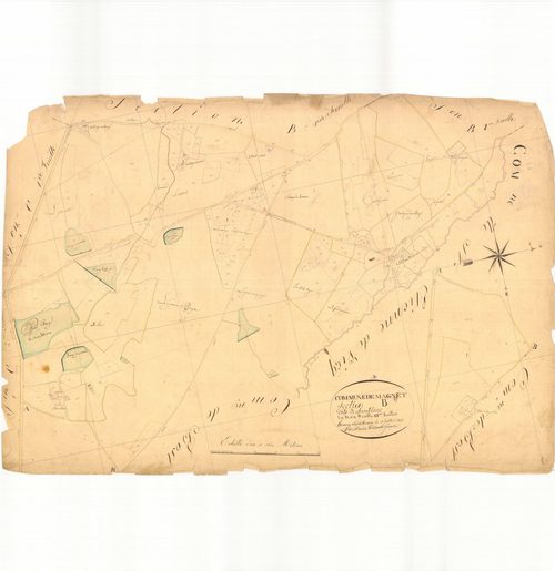 3 P 3166