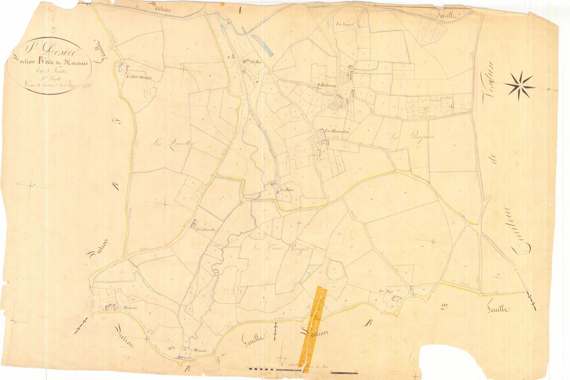 3 P 3229