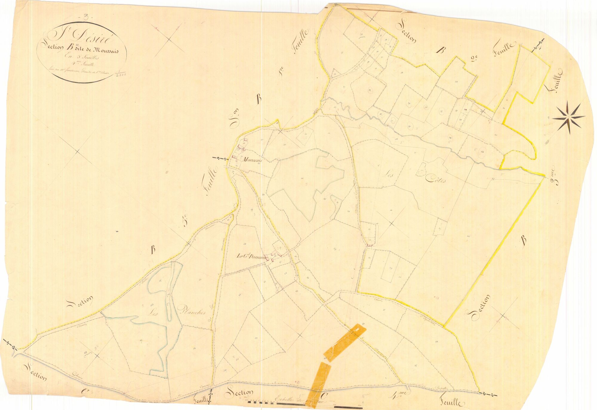 3 P 3229