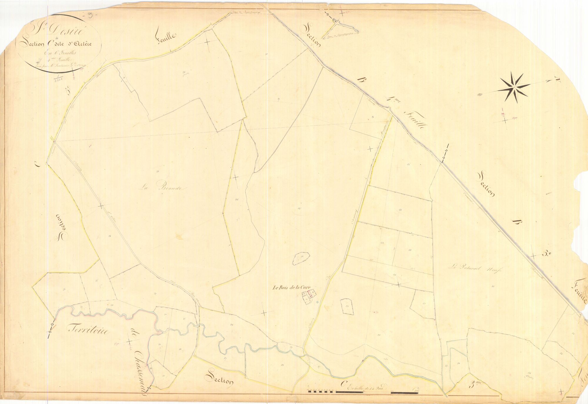3 P 3229