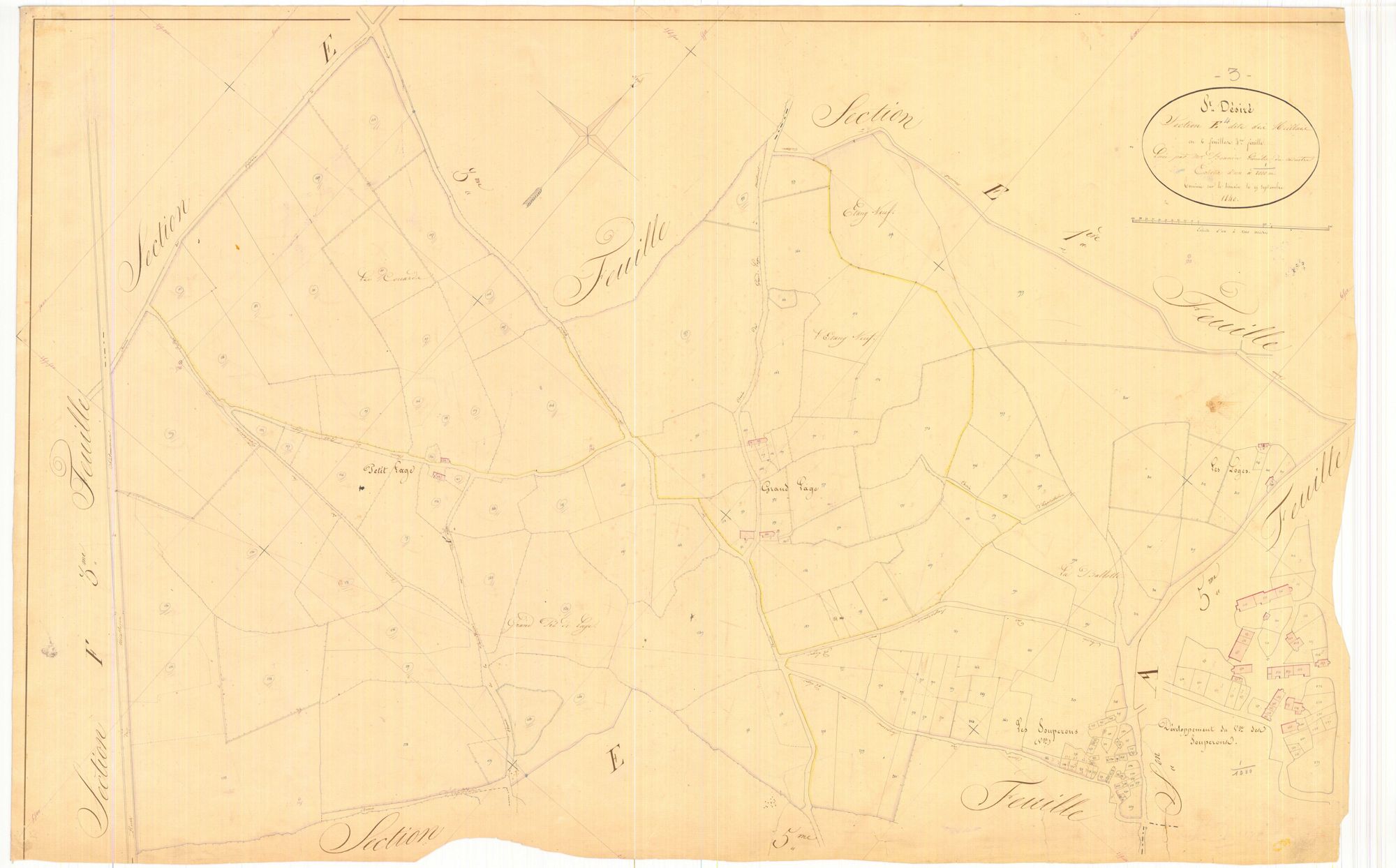 3 P 3229