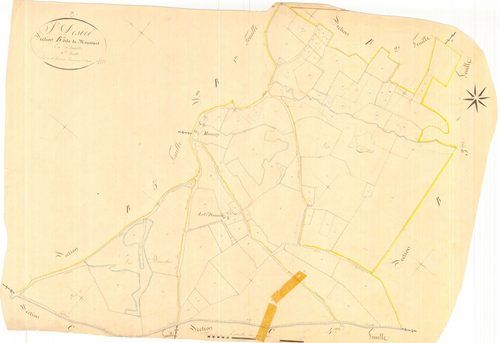 3 P 3229