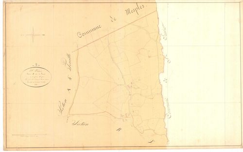 3 P 3253