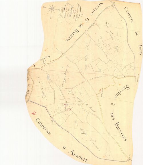 3 P 3316