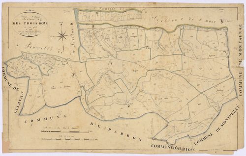 ALLEMAGNE - Section D, les trois rois.