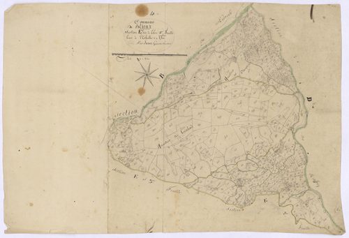 BLIEUX - Section E, le Thon.