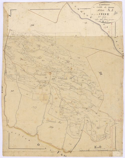 CASTELLET-LES-SAUSSES - Section A, la Selve.