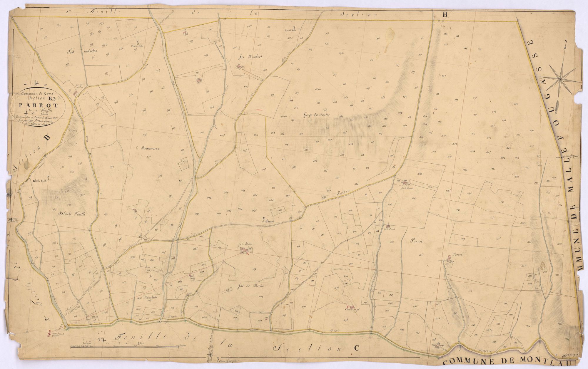CRUIS - Section B, Parrot.