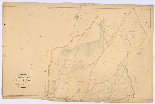 CRUIS - Section B, Parrot.