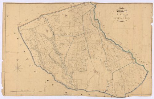CRUIS - Section D, le Plan.