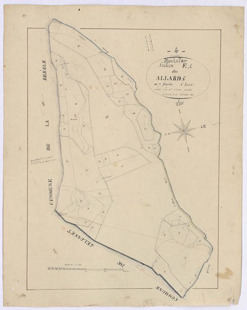 MONTCLAR - Section E, les Allards.