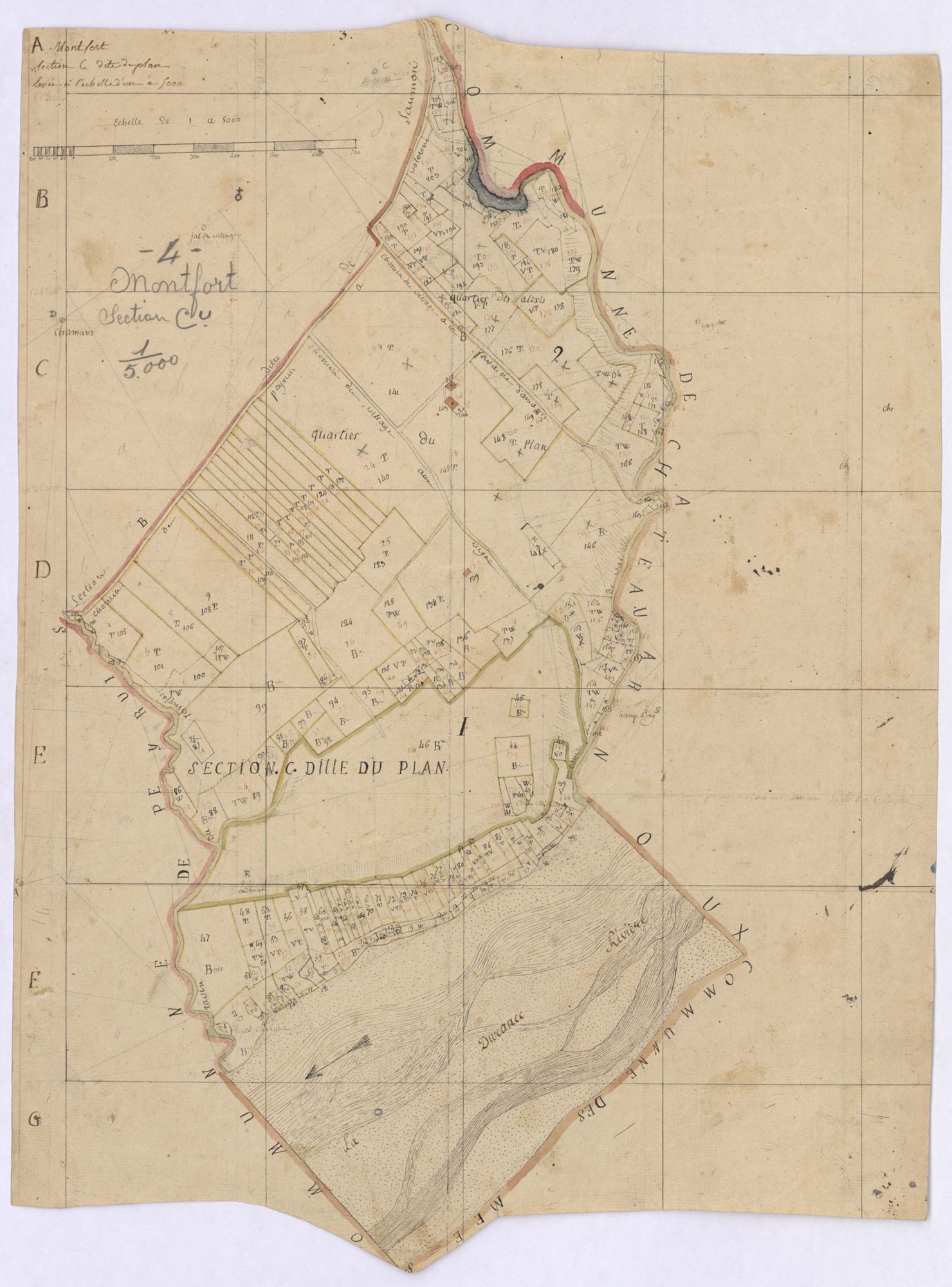 MONTFORT - Section C, le Plan.