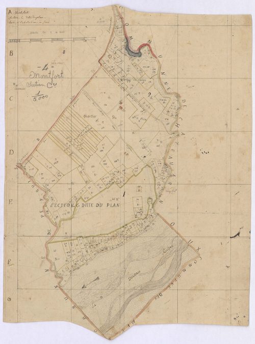 MONTFORT - Section C, le Plan.