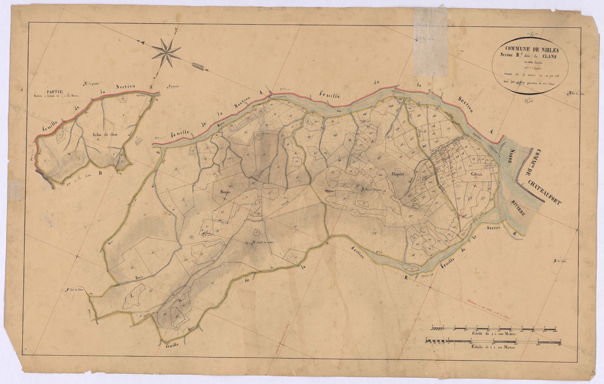 NIBLES - Section B, les Clans.