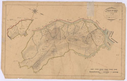 NIBLES - Section B, les Clans.