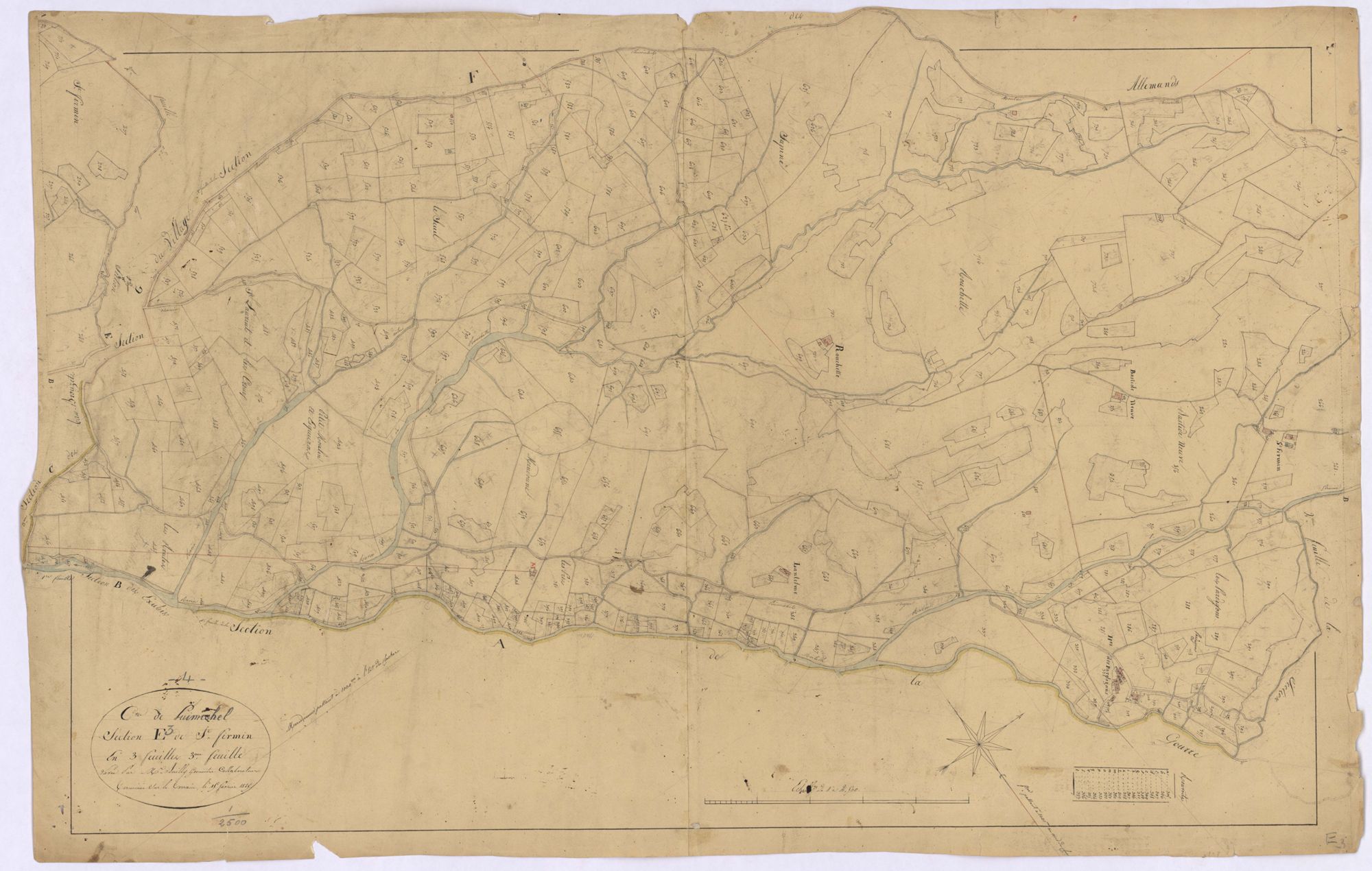PUIMICHEL - Section E, Saint-Firmin.