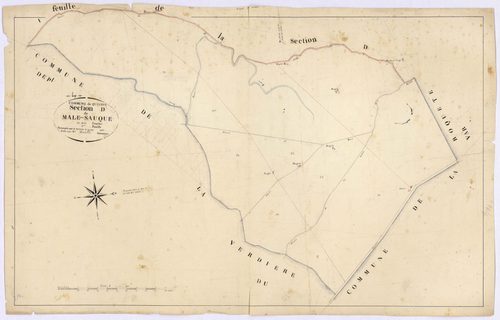 QUINSON - Section D, Male-Sauque.