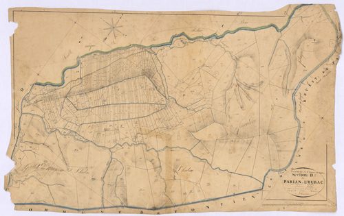SAINT-ETIENNE-LES-ORGUES - Section D, Parlian-d'Hubac.