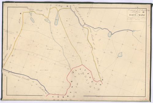 SAINT-PAUL-SUR-UBAYE - Section D, Bois de Blanc.