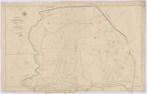 SELONNET - Section C, Libéarne.