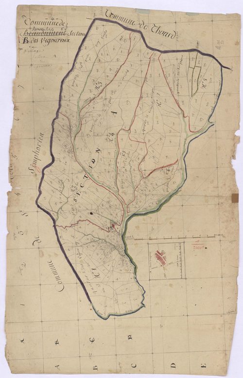 SOURRIBES - Section E, Vigoureux.
