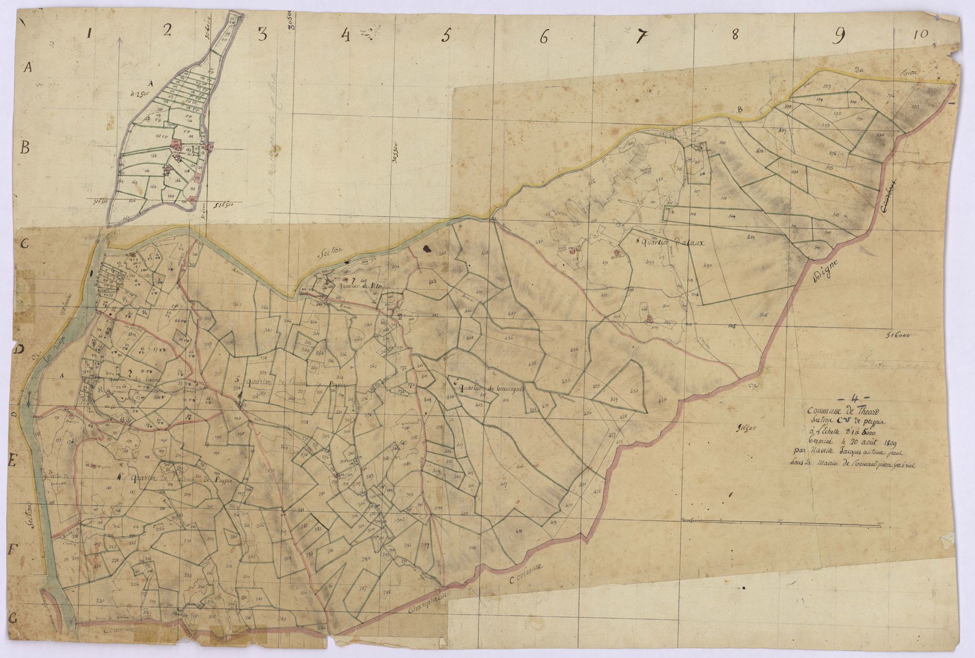 THOARD - Section C, Peypin.