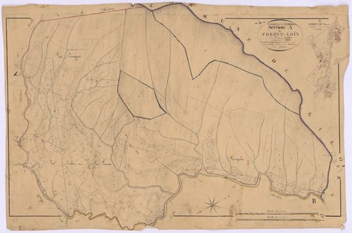 TURRIERS - Section A, Forest-Loin.