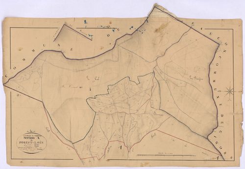 TURRIERS - Section A, Forest-Loin.