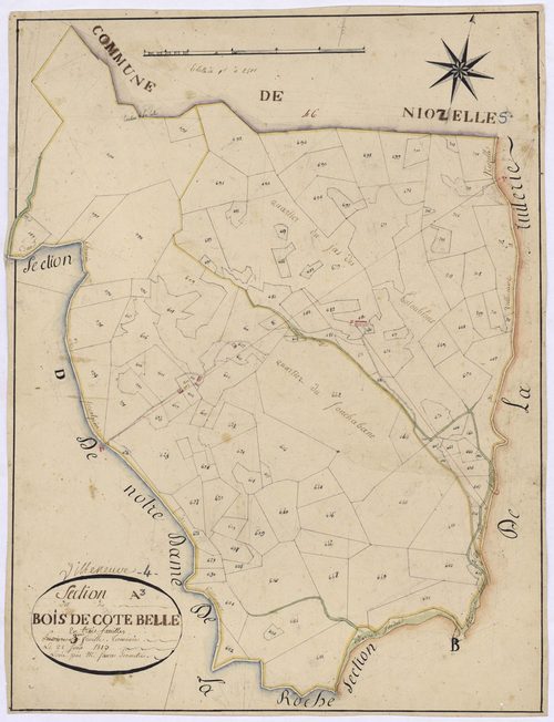 VILLENEUVE - Section A, le Bois de Cotte.