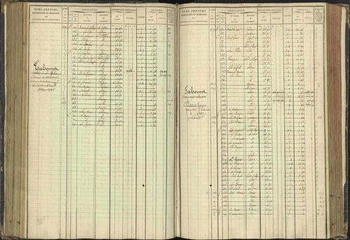 Agnières-en-Dévoluy - 3 P 108/1 - 3 P 108/1 - Matrice folios 1-340. 