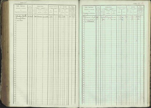 Ancelle - 3 P 129/1 - 3 P 129/1 - Matrice, folios 625-1246. 