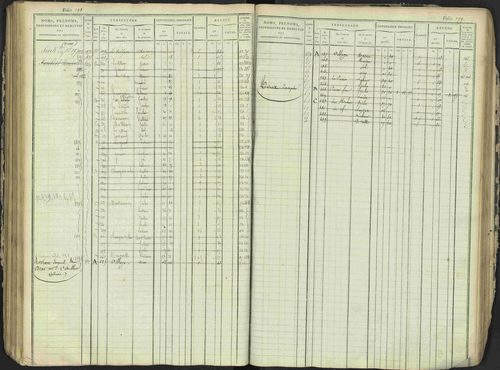 Antonaves - 3 P 137/1 - 3 P 137/1 - Matrice des propriétés foncières. 