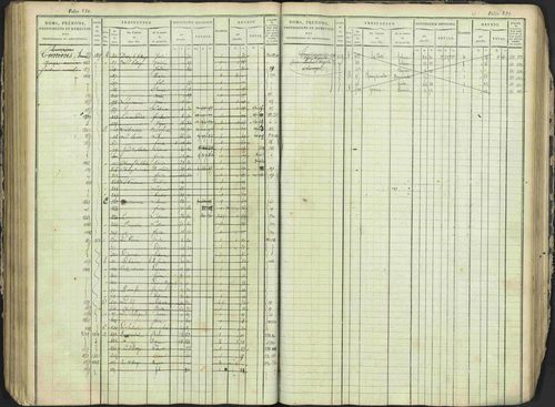 Antonaves - 3 P 137/1 - 3 P 137/1 - Matrice des propriétés foncières. 
