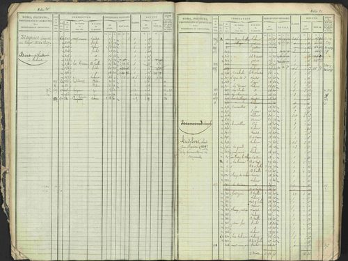 Antonaves - 3 P 137/1 - 3 P 137/1 - Matrice des propriétés foncières. 