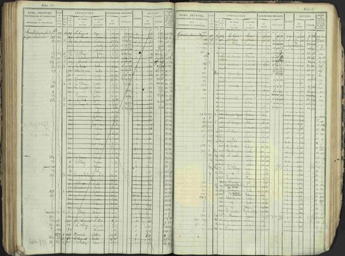 Antonaves - 3 P 137/1 - 3 P 137/1 - Matrice des propriétés foncières. 