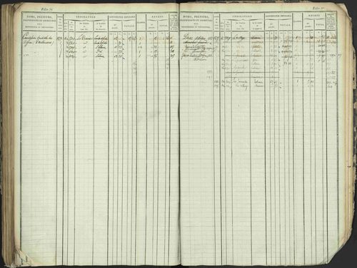 Antonaves - 3 P 137/1 - 3 P 137/1 - Matrice des propriétés foncières. 