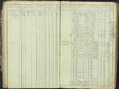 Antonaves - 3 P 137/1 - 3 P 137/1 - Matrice des propriétés foncières. 