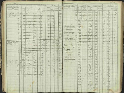 Antonaves - 3 P 137/1 - 3 P 137/1 - Matrice des propriétés foncières. 