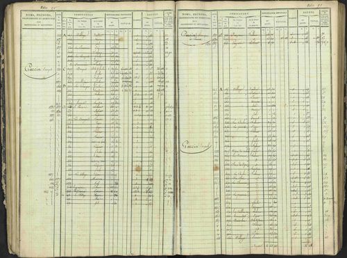 Antonaves - 3 P 137/1 - 3 P 137/1 - Matrice des propriétés foncières. 