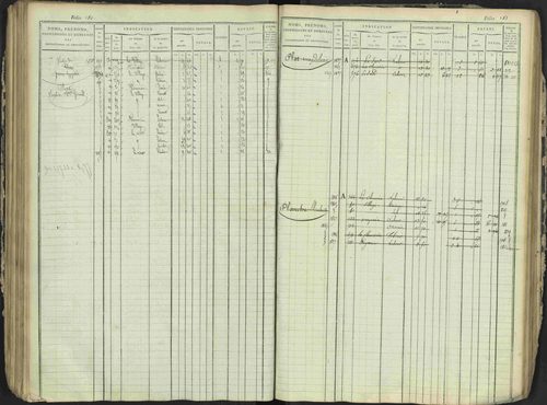 Antonaves - 3 P 137/1 - 3 P 137/1 - Matrice des propriétés foncières. 