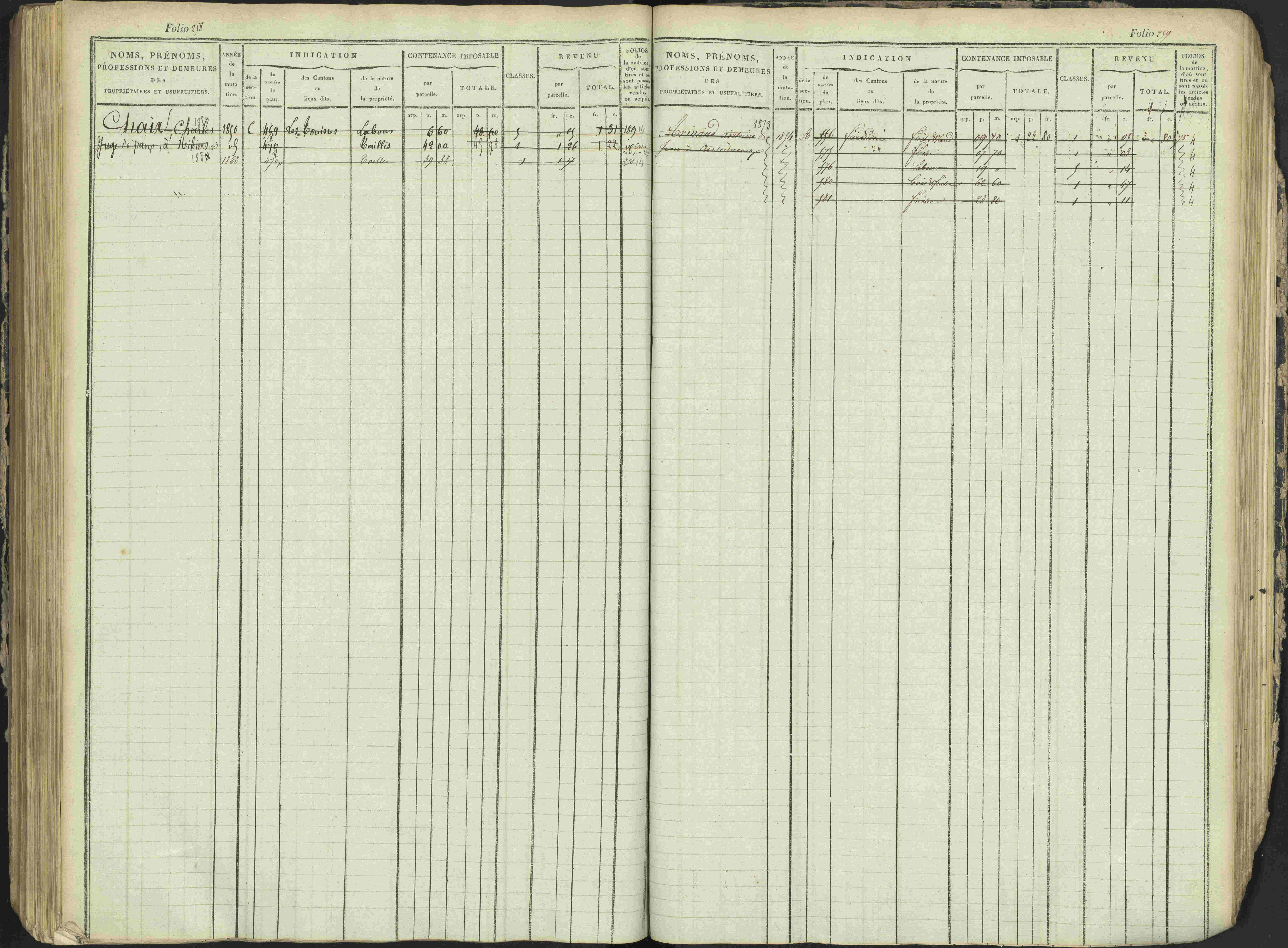Antonaves - 3 P 137/1 - 3 P 137/1 - Matrice des propriétés foncières.