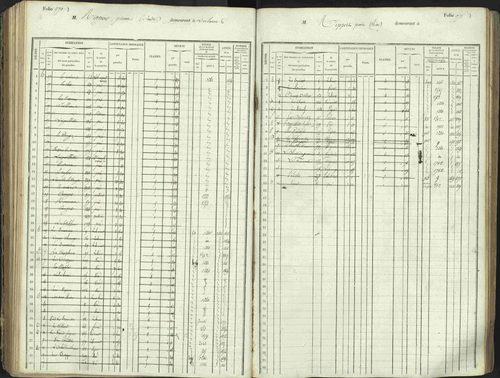 L'Argentière-la-Bessée - 3 P 146/1 - 3 P 146/1 - Matrice, folios 701-1420. 