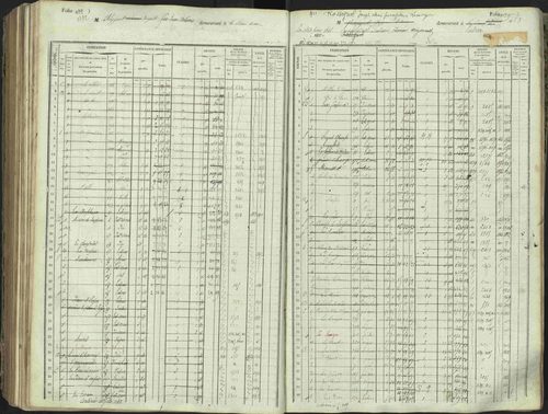 L'Argentière-la-Bessée - 3 P 146/1 - 3 P 146/1 - Matrice, folios 701-1420. 