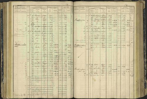 Aspres-lès-Corps - 3 P 177/2 - 3 P 177/2 - Matrice, folios 1-487. 