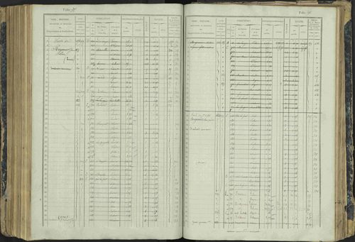 Aspres-lès-Corps - 3 P 177/2 - 3 P 177/2 - Matrice, folios 1-487. 