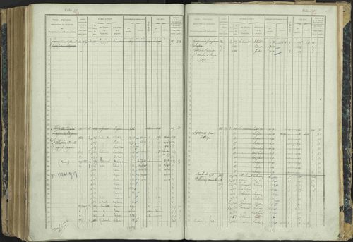 Aspres-lès-Corps - 3 P 177/2 - 3 P 177/2 - Matrice, folios 1-487. 