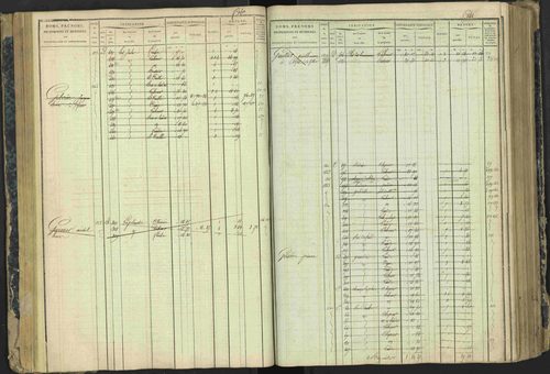 Aspres-lès-Corps - 3 P 177/2 - 3 P 177/2 - Matrice, folios 1-487. 