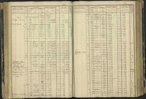 Aspres-lès-Corps - 3 P 177/2 - 3 P 177/2 - Matrice, folios 1-487. 