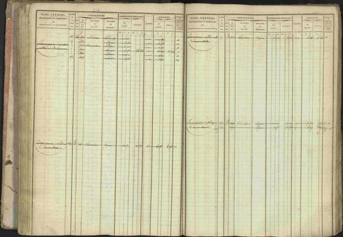 Baratier - 3 P 202/1 - 3 P 202/1 - Matrice, folios 1-440. 